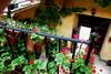 Apartamento Erice Villa San Domenico
