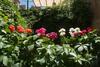 Apartamento Erice Villa San Domenico