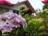 Hotel Pine Haven Resorts