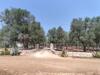 Villa Trullo Saraceno