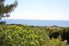 Wonderful Seaview Villa Azzurra