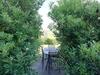 Apartamento Casale El Galet
