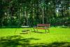 Bed & Breakfast Willa Boconek - Zator Przecisz�w