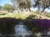 Agroturismo Villa L'oleandro