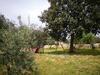 Agroturismo Villa L'oleandro