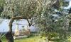 Agroturismo Perla Del Salento