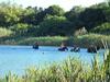 Agroturismo Perla Del Salento