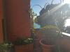 Apartamento Charming Flat