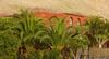 Apartamento Finca Eva-adults 0nly