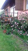 Bed & Breakfast Il Pettirosso Di Giusvalla