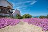 Apartamento Sardiniare-villino Paradise