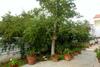 Hostal Sunny Garden Studio