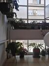 Apartment Vision