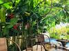 Pearl Paradise Villa Danang