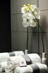 Best Western Hotel Brussels South