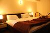 Hotel Domogled