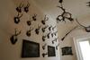 Apartamento Zelenohorsk� Po?ta