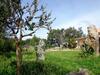 Agroturismo Fattoria Nuraghe Murtarba