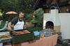 Hostal Pension Appartements �tzmooshof
