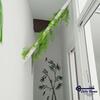 Cadiz Rooms