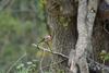 Apartamento Treehut, Nature, Birds, Silence And Fjord