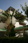 Albergue Auberge Keur Diame