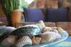 Bed & Breakfast Chalet Romantica