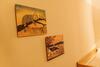 Apartamento Locanda Elisa Dimaro Folgarida