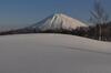 Posada Niseko Freedom Inn