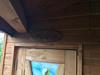 Lodge Woody Life