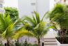 Apartamento Laguna Bay 2 By Fairy's House Group