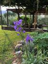 Agriturismo Terre Bianche