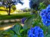 Bed & Breakfast Pousada S�tio Vale Das Olivas