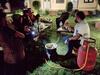 Hotel Sundervan Wildlife Resort