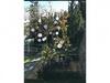B�ch T�ng Boutique Villa