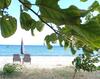Private Sea Front Houses !?platan 3