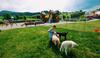 Villa Resort Chalupkovo