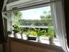 Ferienwohnung Am Homerich