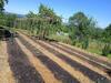 Charmant G�te Haut-marnais