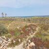 Apartamento Excellent Emplacement Pour T2 Direct Sur La Plage