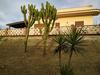 Agroturismo Villa Poggio Mos�