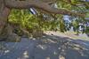 Coastal Port Orchard Retreat With Beach Access!
