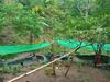 Agroturismo Camping Paradise And Singalong Mountain Garden