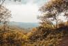 Agroturismo Camping Paradise And Singalong Mountain Garden