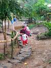 Agroturismo Camping Paradise And Singalong Mountain Garden