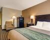Hotel Comfort Inn Boston/woburn