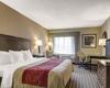 Hotel Comfort Inn Boston/woburn