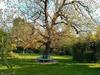 Bed & Breakfast La Grange Tranquille