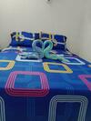 Apartamento S&s - 501 Centro