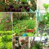 Villa Isabel - Casa Rural